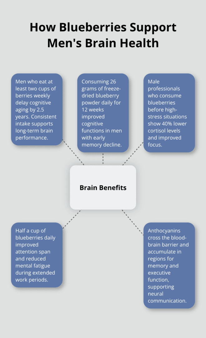 Hub-and-spoke diagram showing five blueberry-related brain health benefits for men. - blueberries for men's health