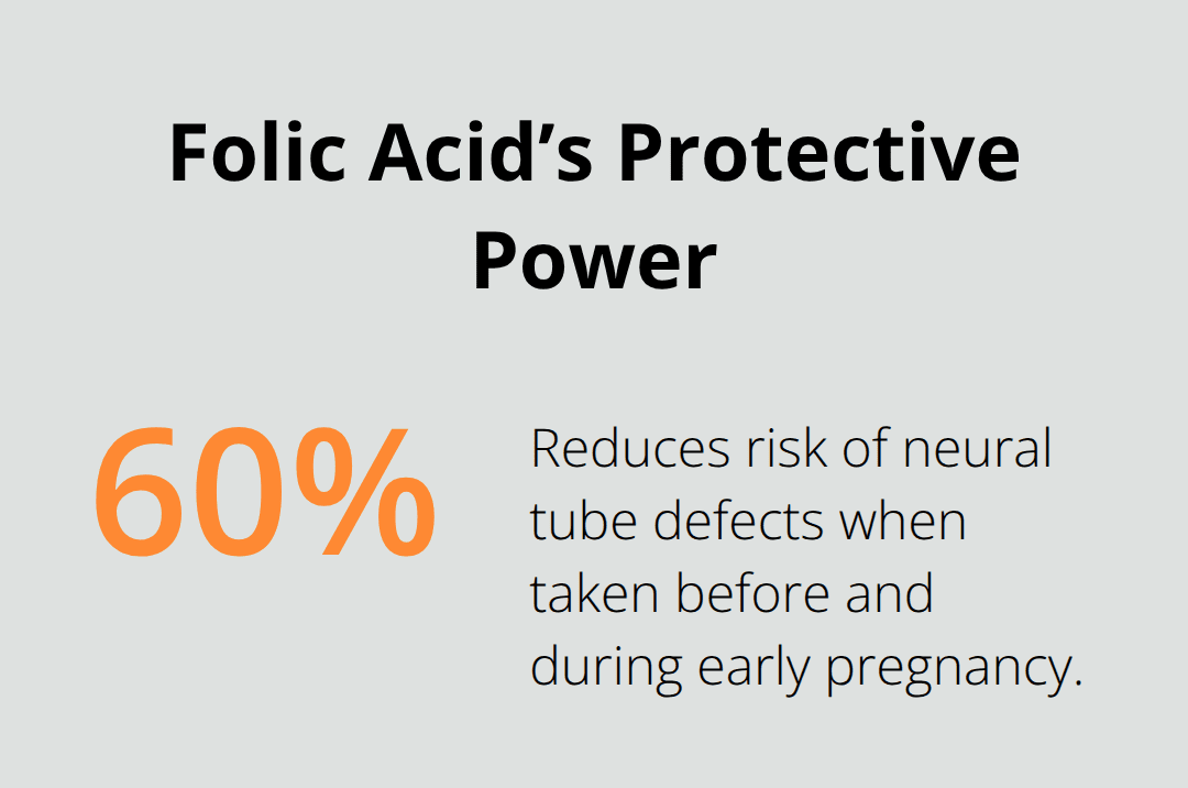 Supplements for Female Reproductive Health: Complete Guide 4 Chart showing how folic acid supplementation can reduce neural tube defect risk. - supplements for female reproductive health
